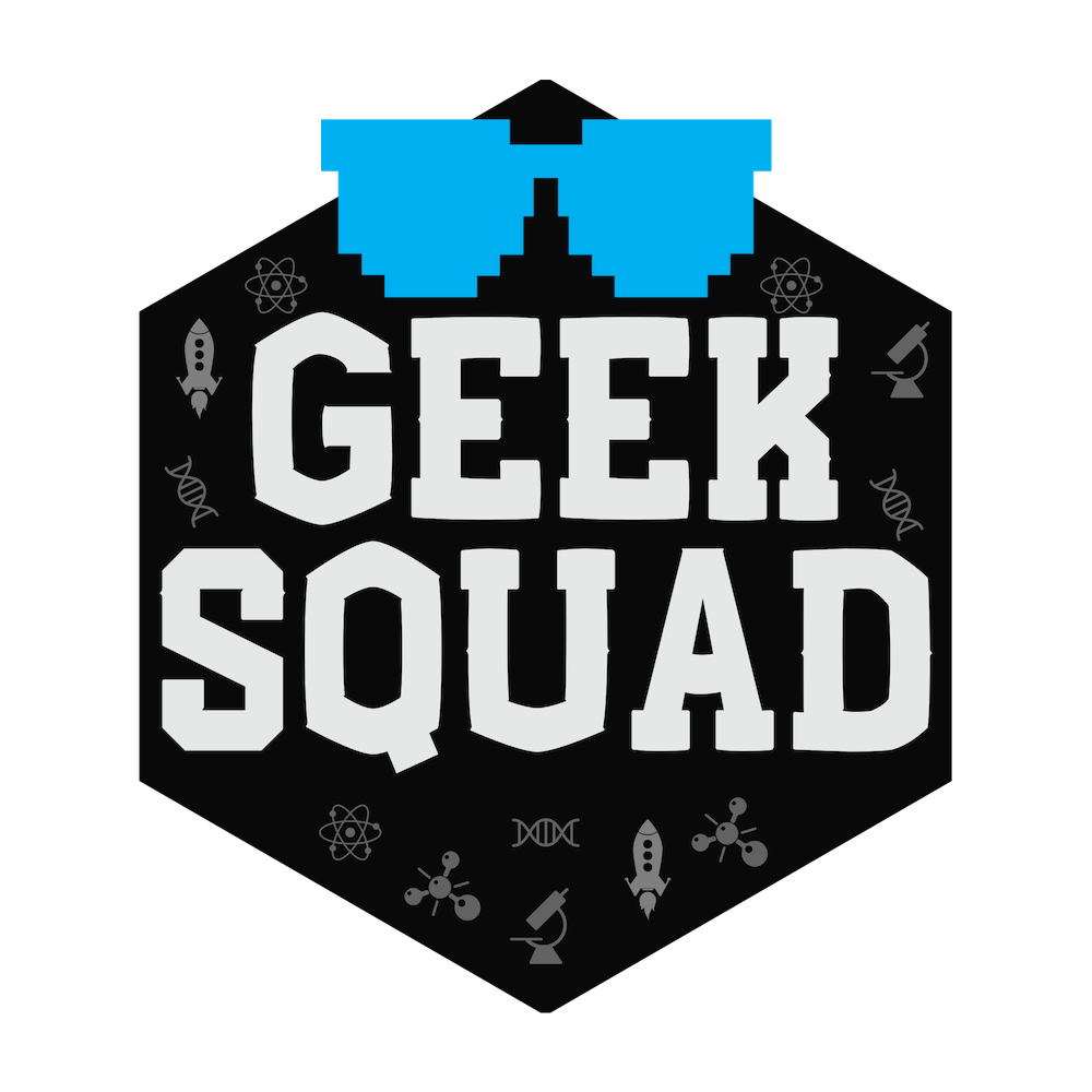 Geek Squad
